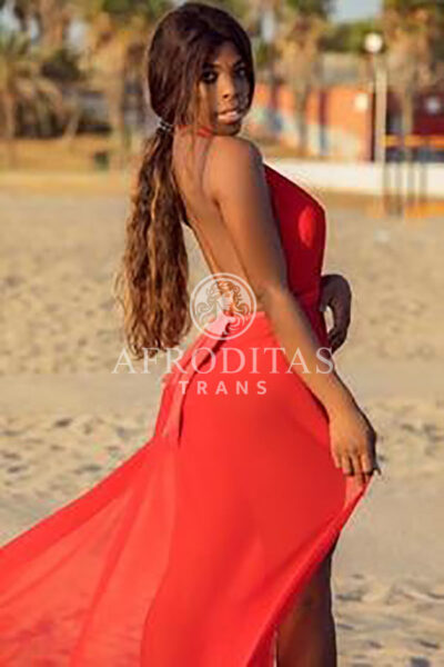 Milena Travesti Masajista en Madrid