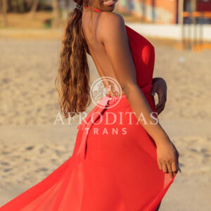 Milena Transexual Masajista